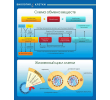 308-311-схема обмена веществ жизненный цикл клетки 700х850мм